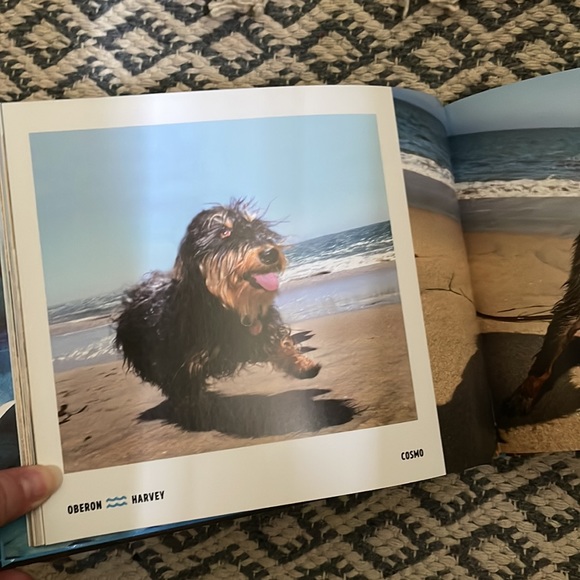 New! Book - Picture 5 of 5